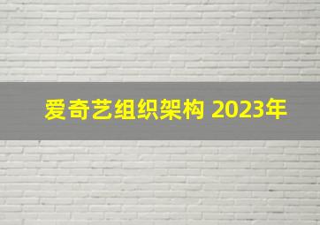 爱奇艺组织架构 2023年